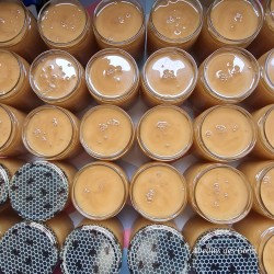 Miel CREMEUX du Gâtinais - 500g