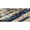 12 pots 500g par an