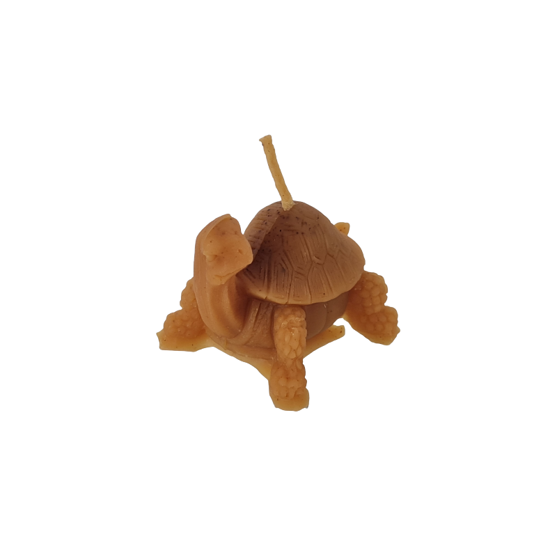 Bougie tortue - 26g Bougie tortue - 26g